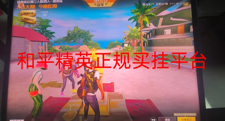 和平精英买挂正规平台-和平精英自瞄辅助永